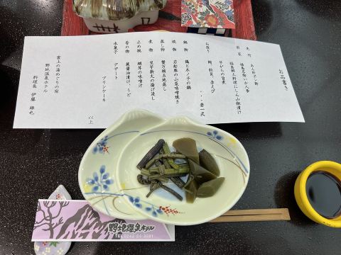 野地温泉酒店-旅行者