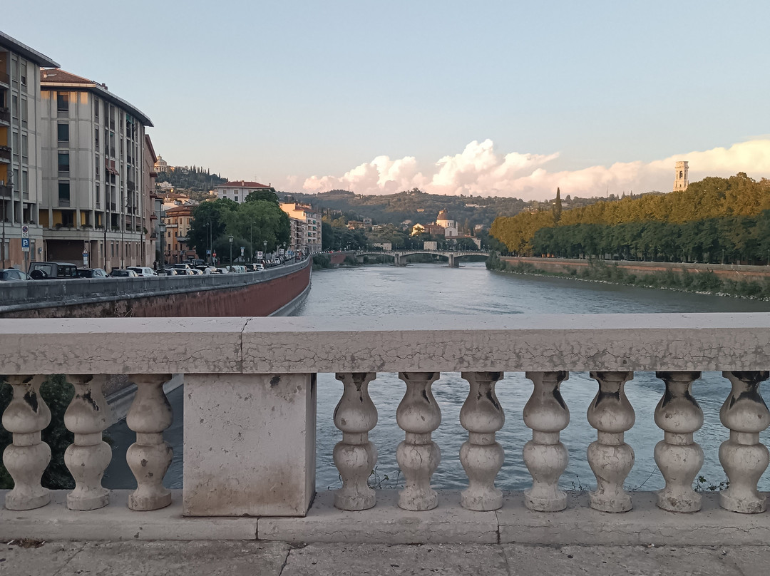 Tour of Verona by train-维罗纳必去景点