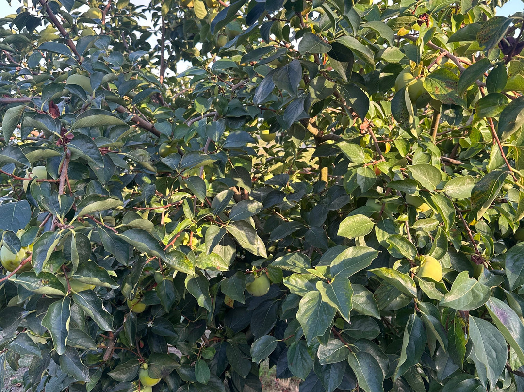 Quinta da Padrela-Tabuaco必去景点