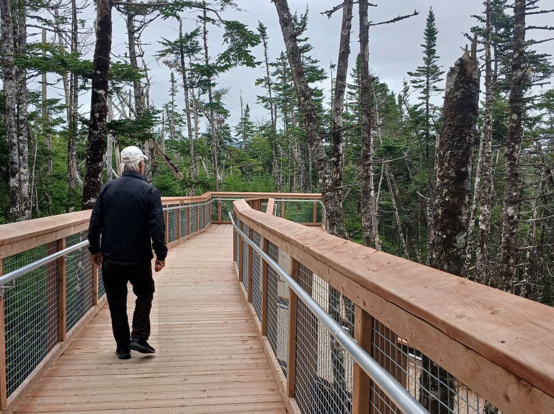 Salmonier Nature Park-Holyrood必去景点