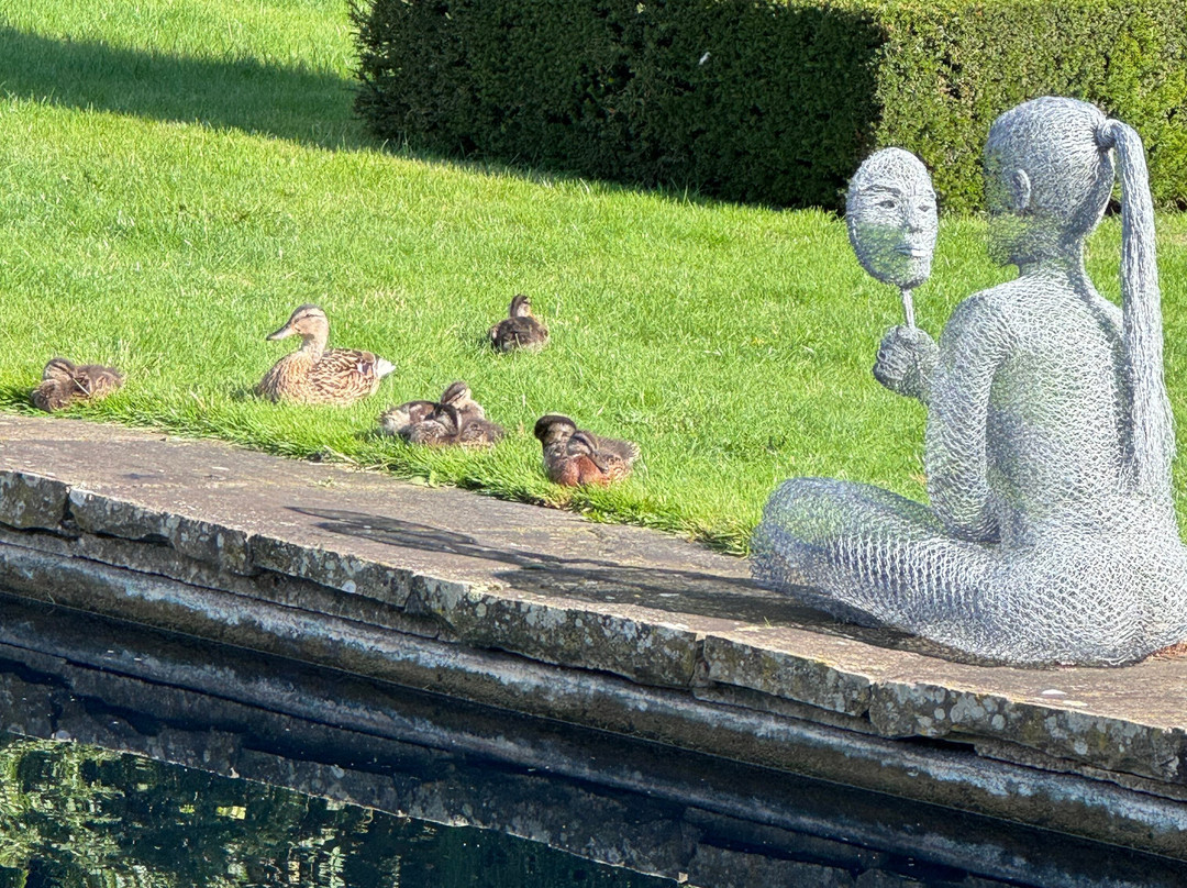 Scampston Walled Garden-马尔顿必去景点