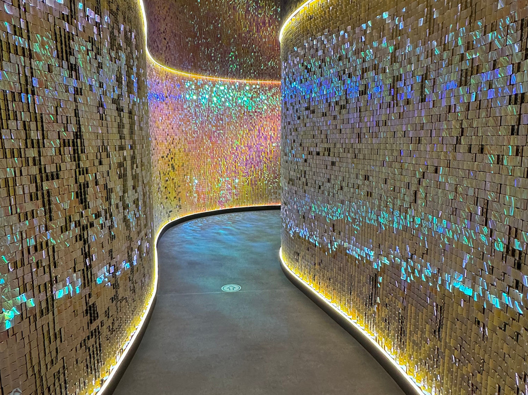 Museum of Gravity-华沙必去景点
