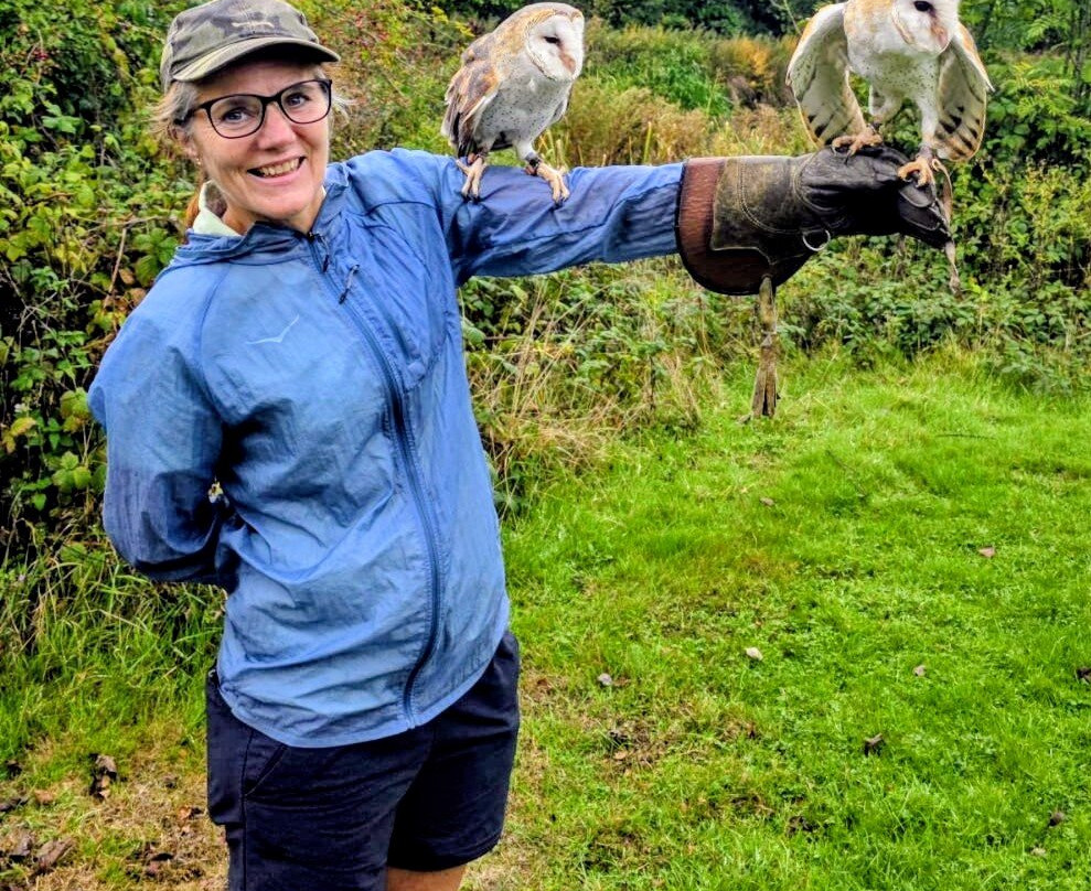 Falconry Experience Wales-Newtown必去景点