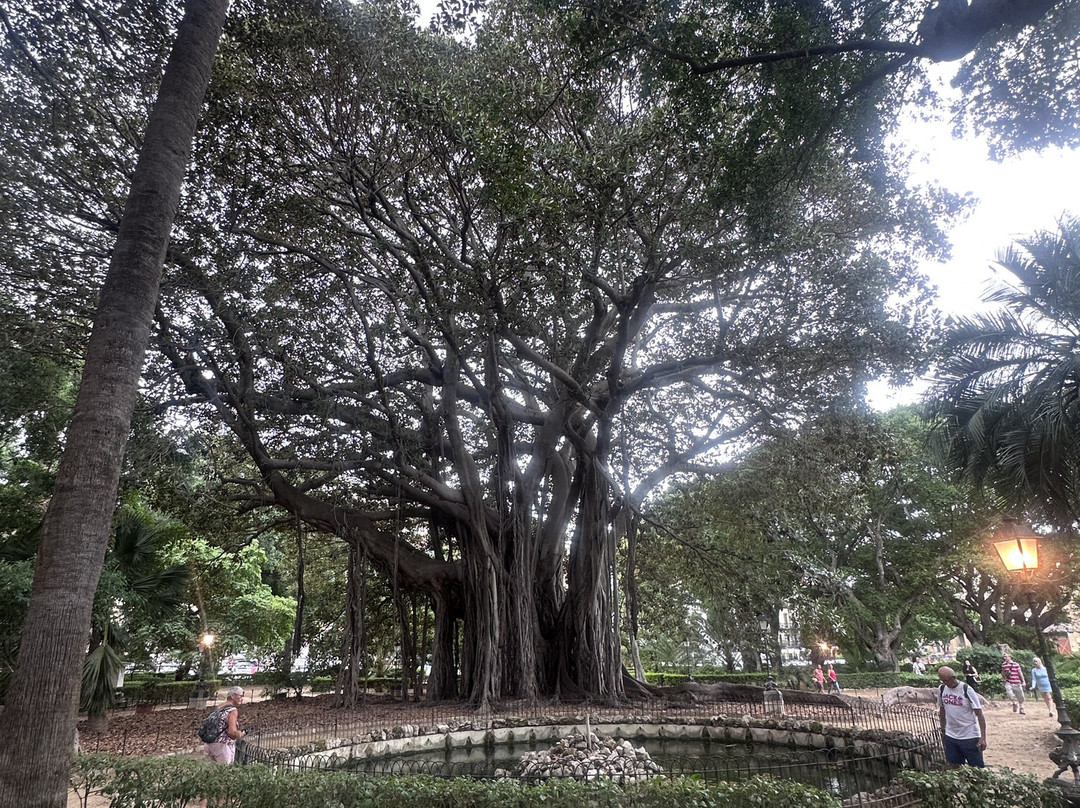 Giardino Garibaldi-巴勒莫必去景点