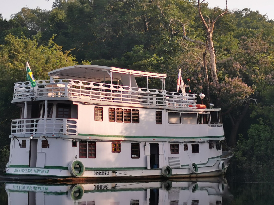 Amazon Green Tours-玛瑙斯必去景点