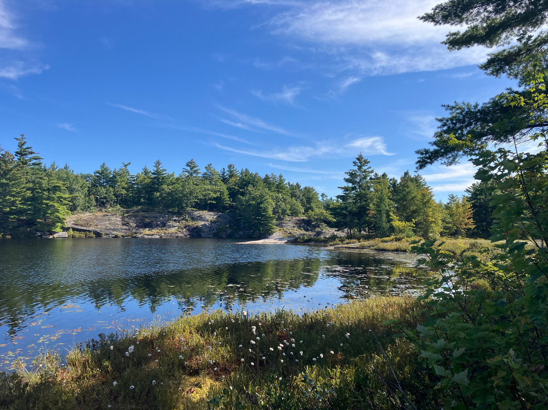 Torrance Barrens Dark-Sky Preserve-Torrance必去景点