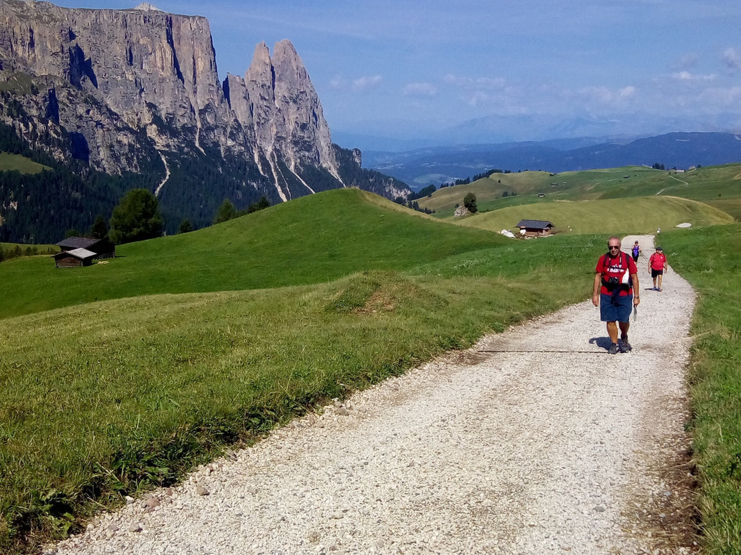 Alpe di Siusi-Alpe di Siusi必去景点