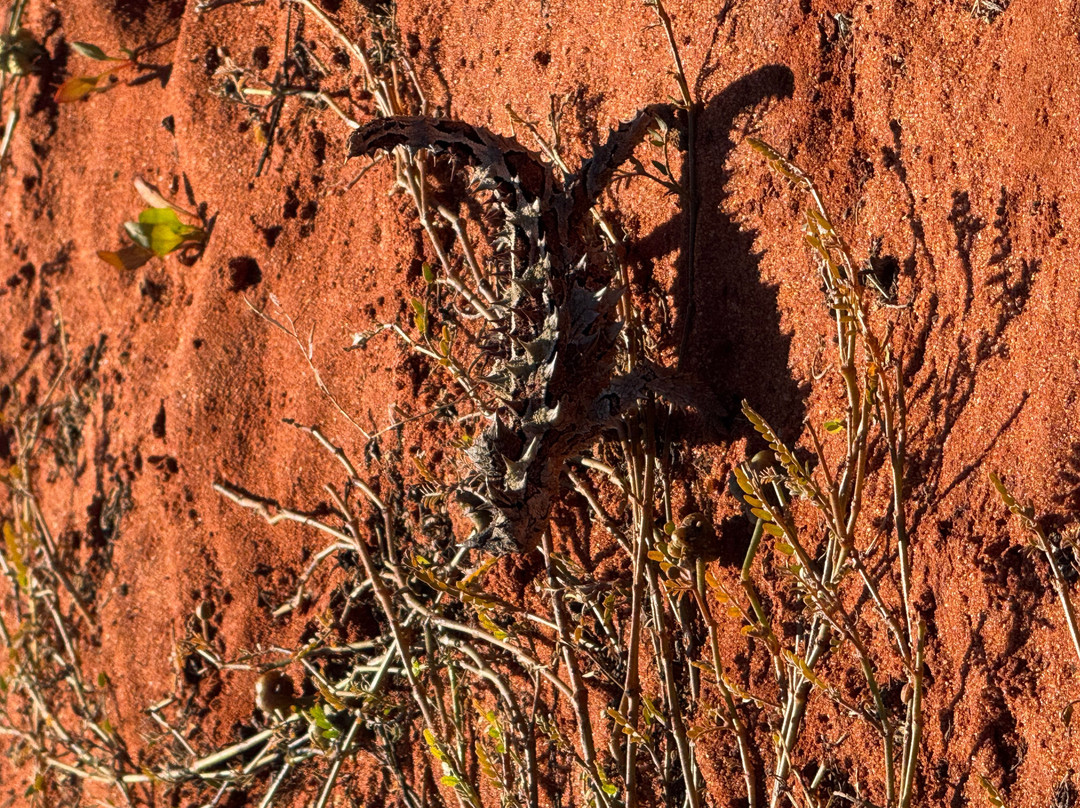 Wildsights-德纳姆必去景点