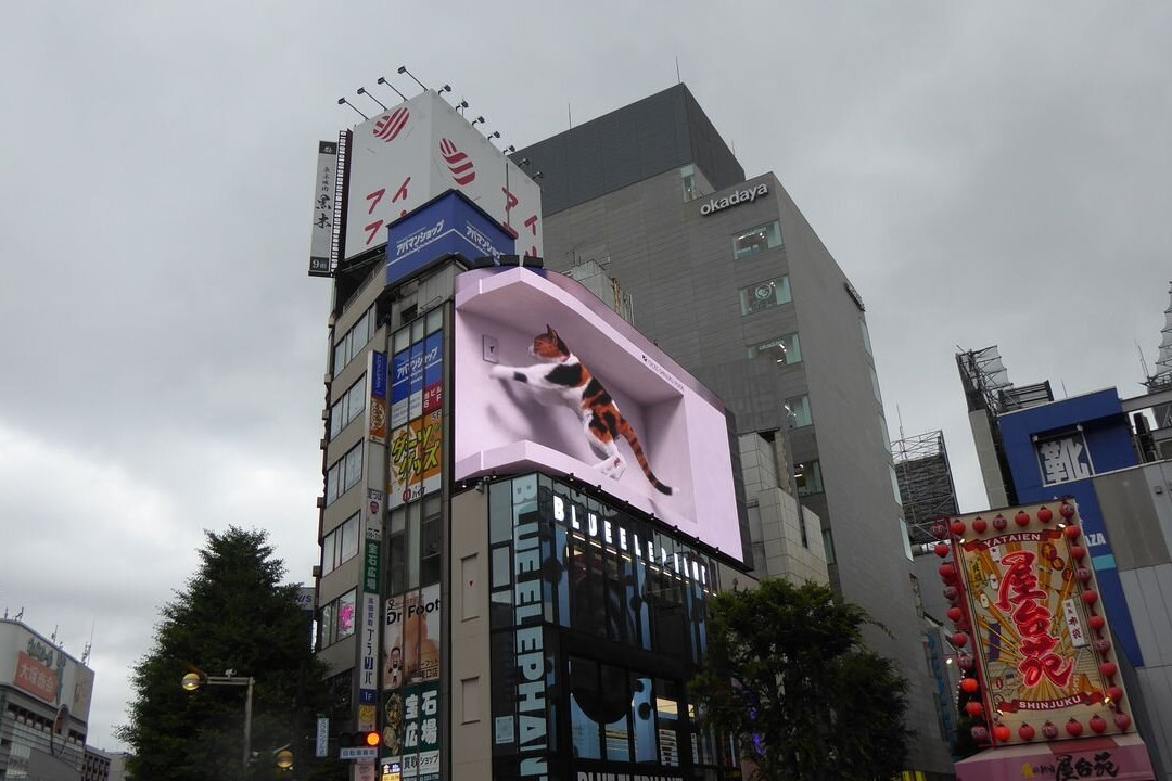 Giant 3d Cat Display Billboard-Shinjuku 3 Chome必去景点