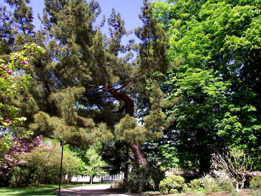 Jardin Des Plantes-鲁昂必去景点