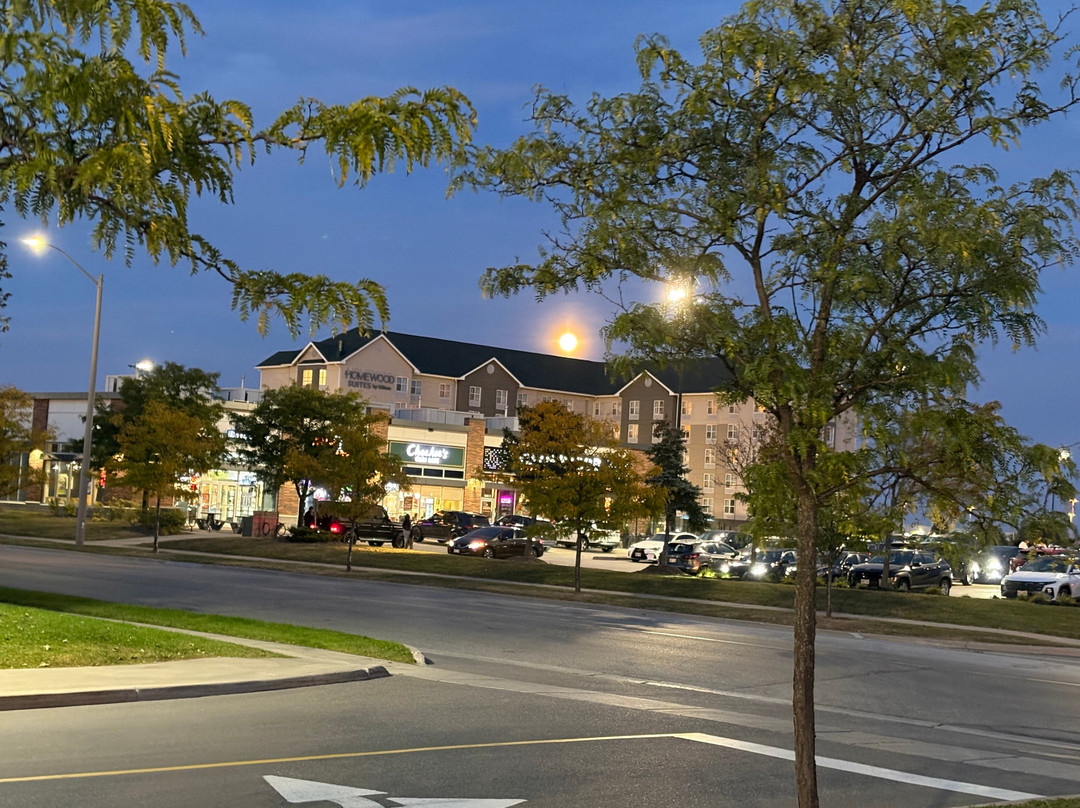 多伦多米西索加Homewood Suites by Hilton主图