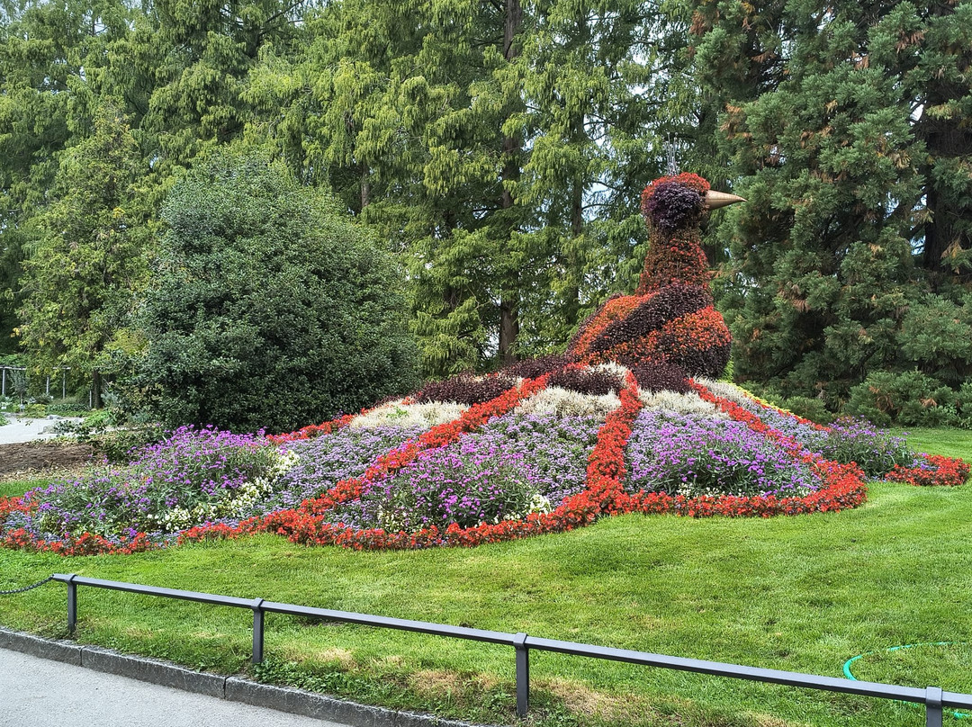Isle of Mainau-康士坦茨必去景点