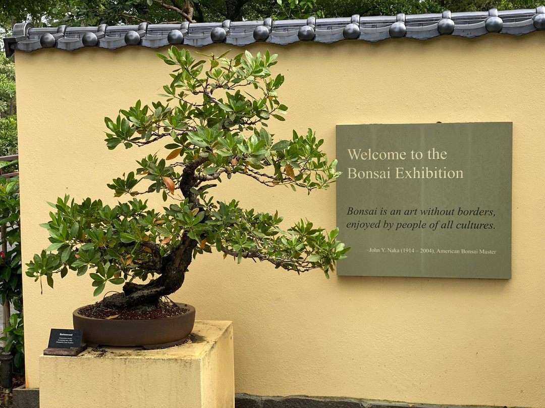 Morikami Museum & Japanese Gardens-德拉海滩必去景点