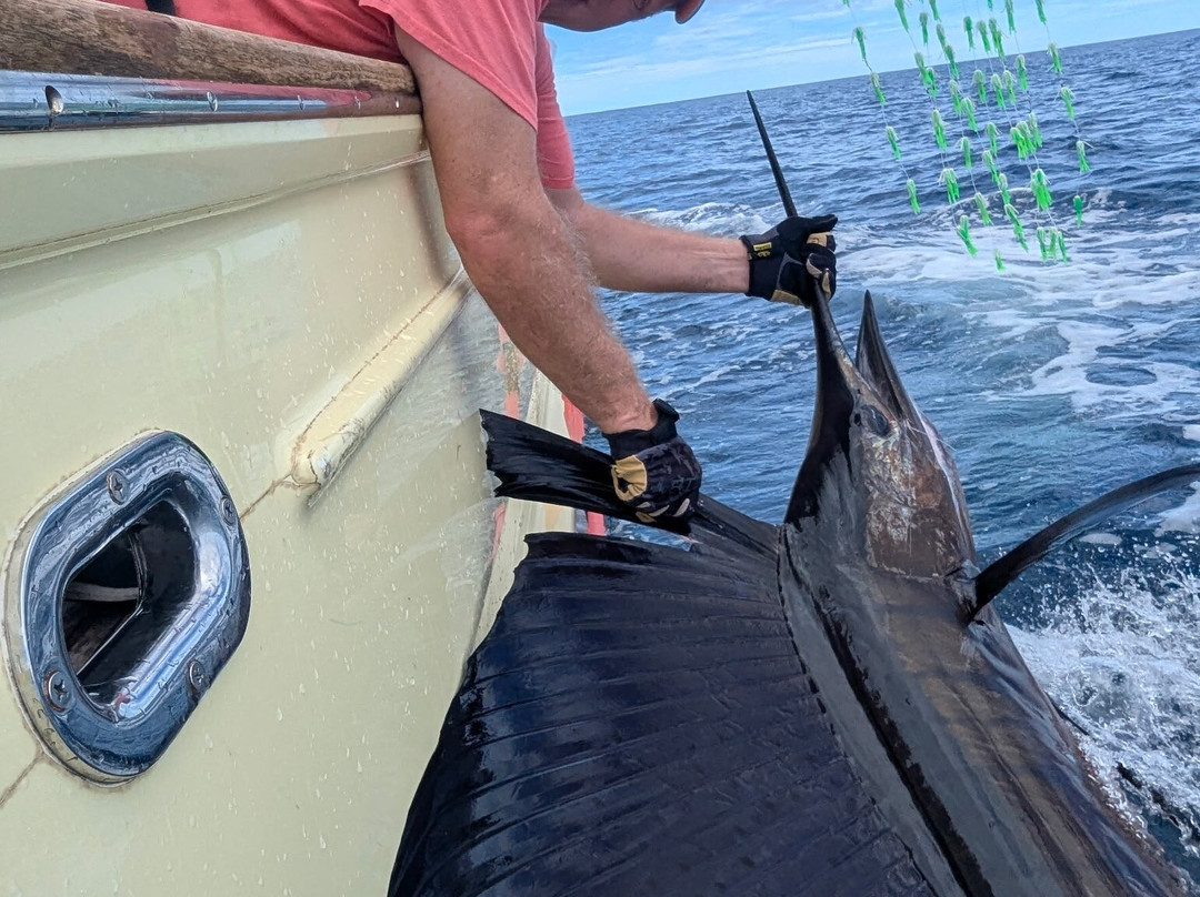 Maverick Sportfishing Charters-梦城必去景点