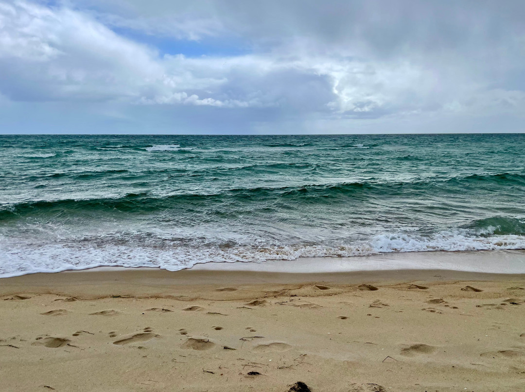 Safety Beach-Dromana必去景点