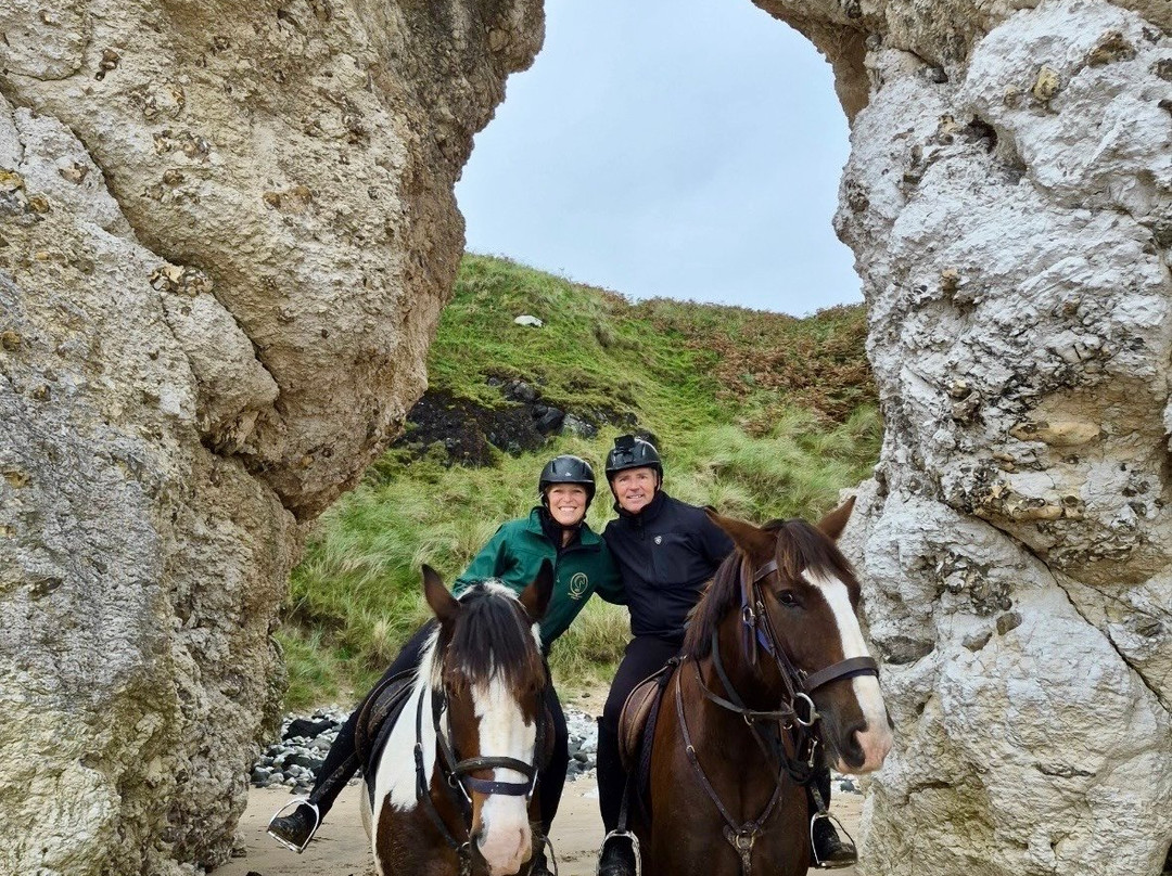 Bespoke Equestrian Ireland-都柏林必去景点