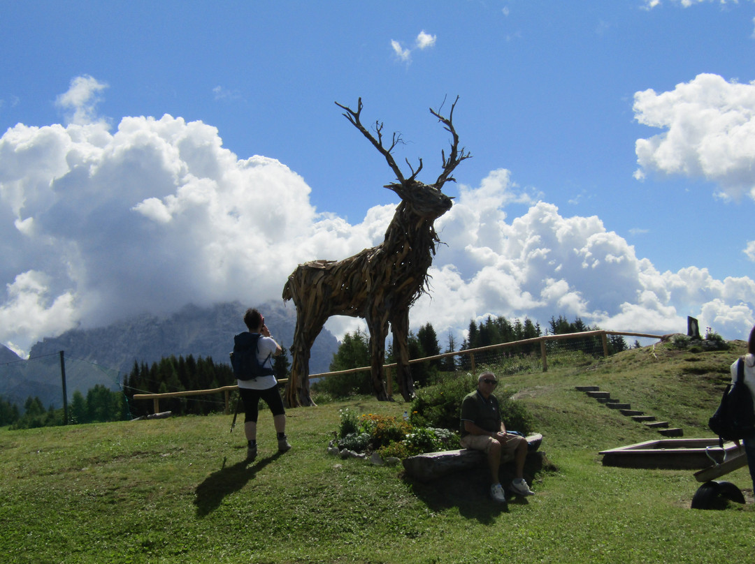 Rifugio Passo Staulanza主图