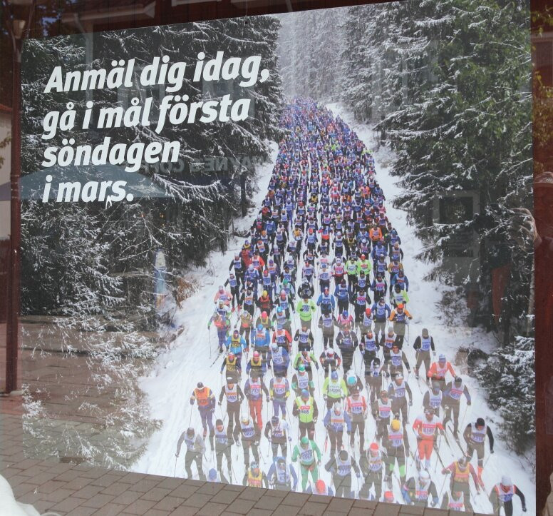 Vasaloppmålsportalen