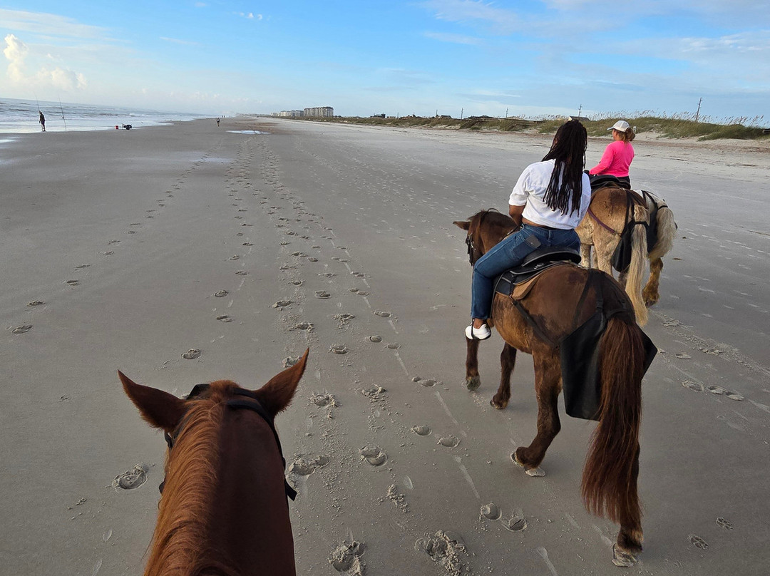 Amelia Island Horseback Riding-费尔南迪纳岛必去景点