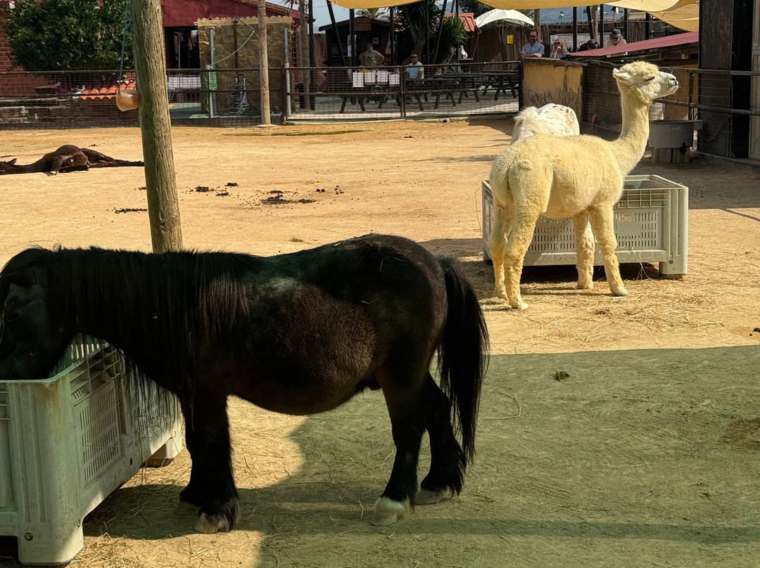 Hugo's Home Farm