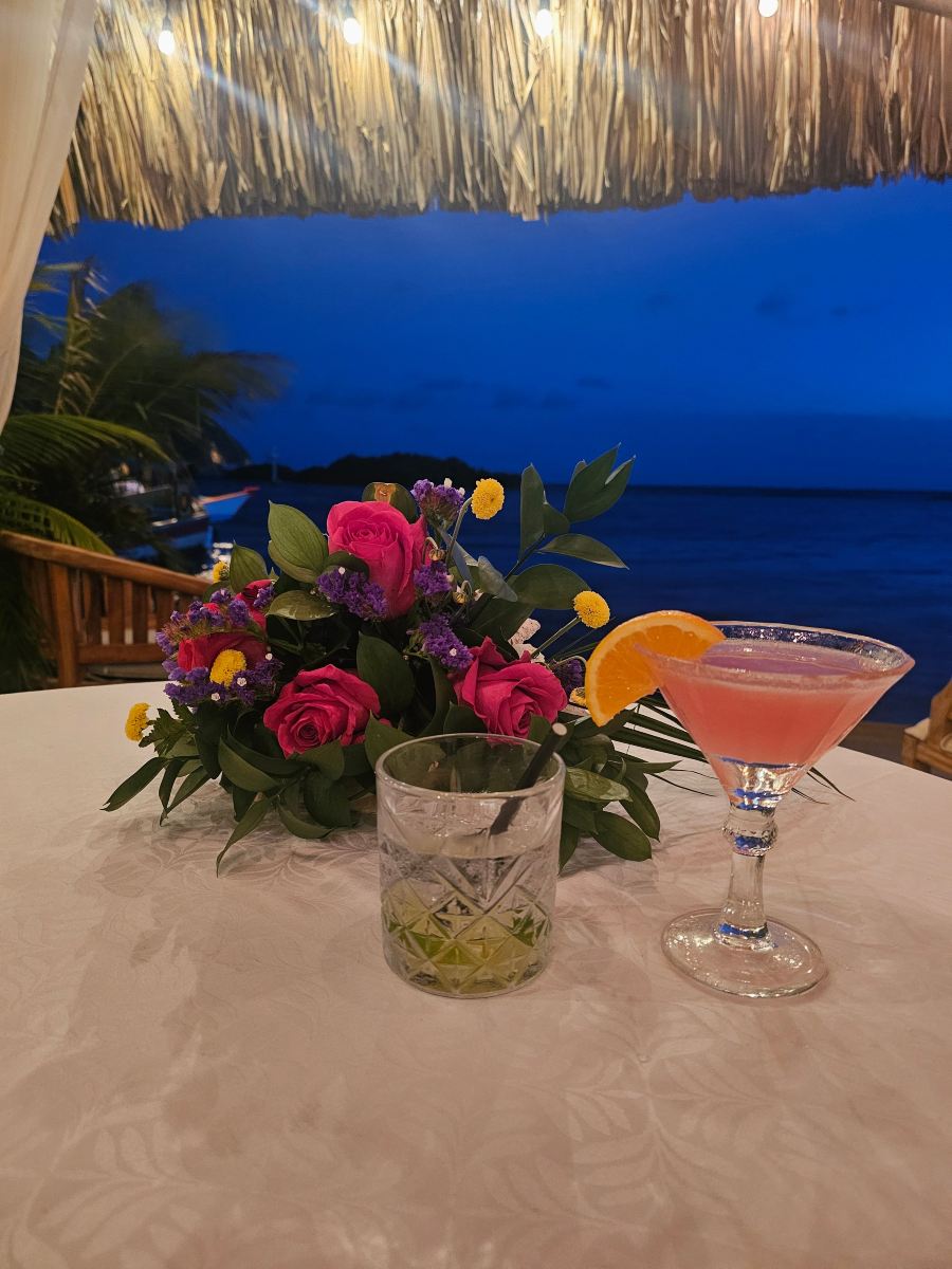 Aruba Ocean Villas-旅行者