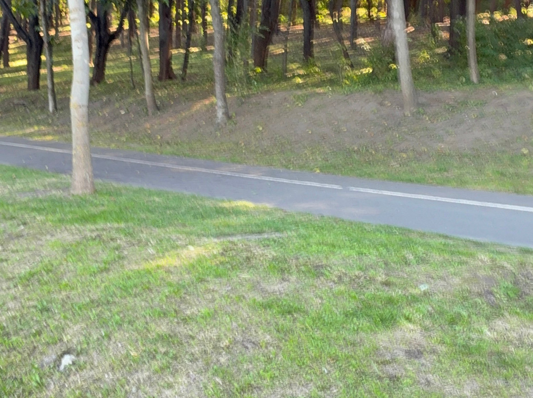 Valea Morilor-基希讷乌必去景点