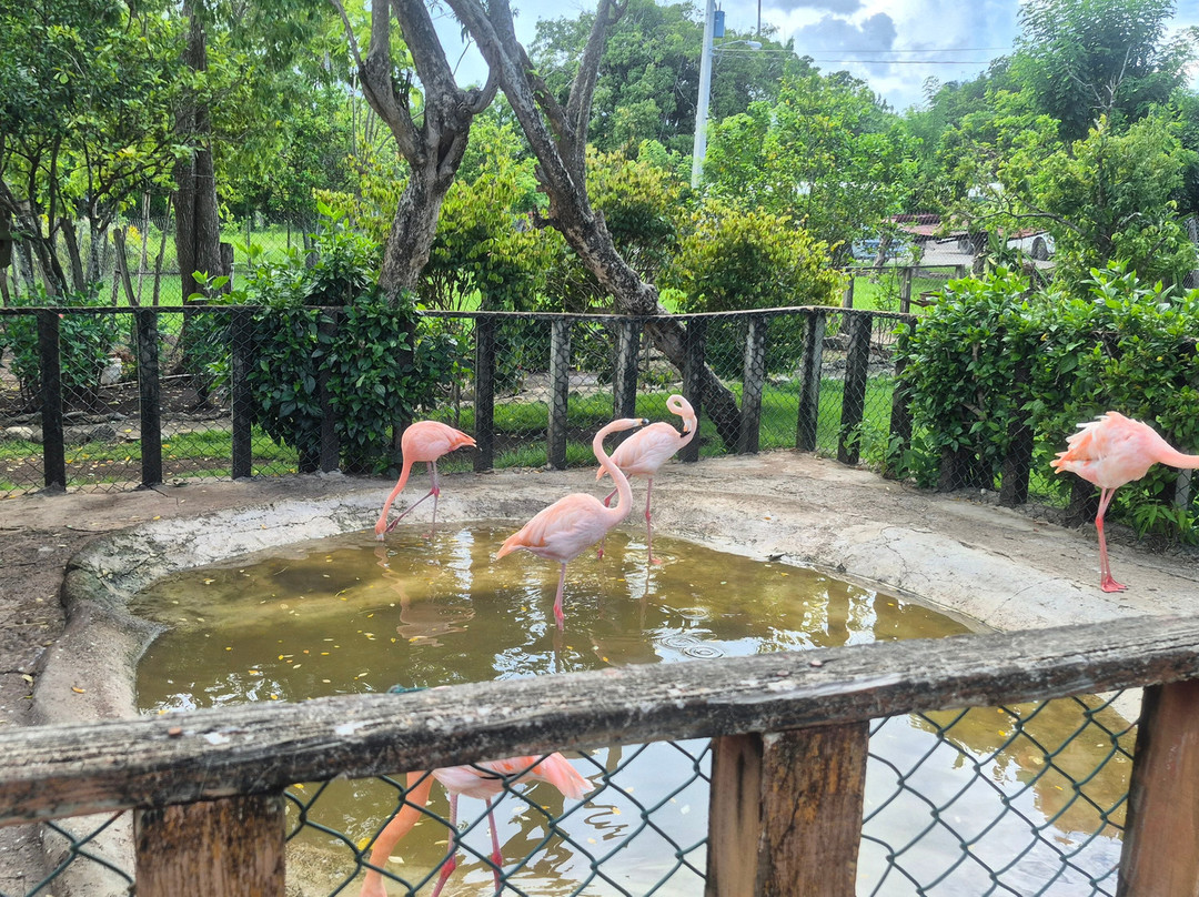Monkey Home Puerto Plata-普拉塔港必去景点