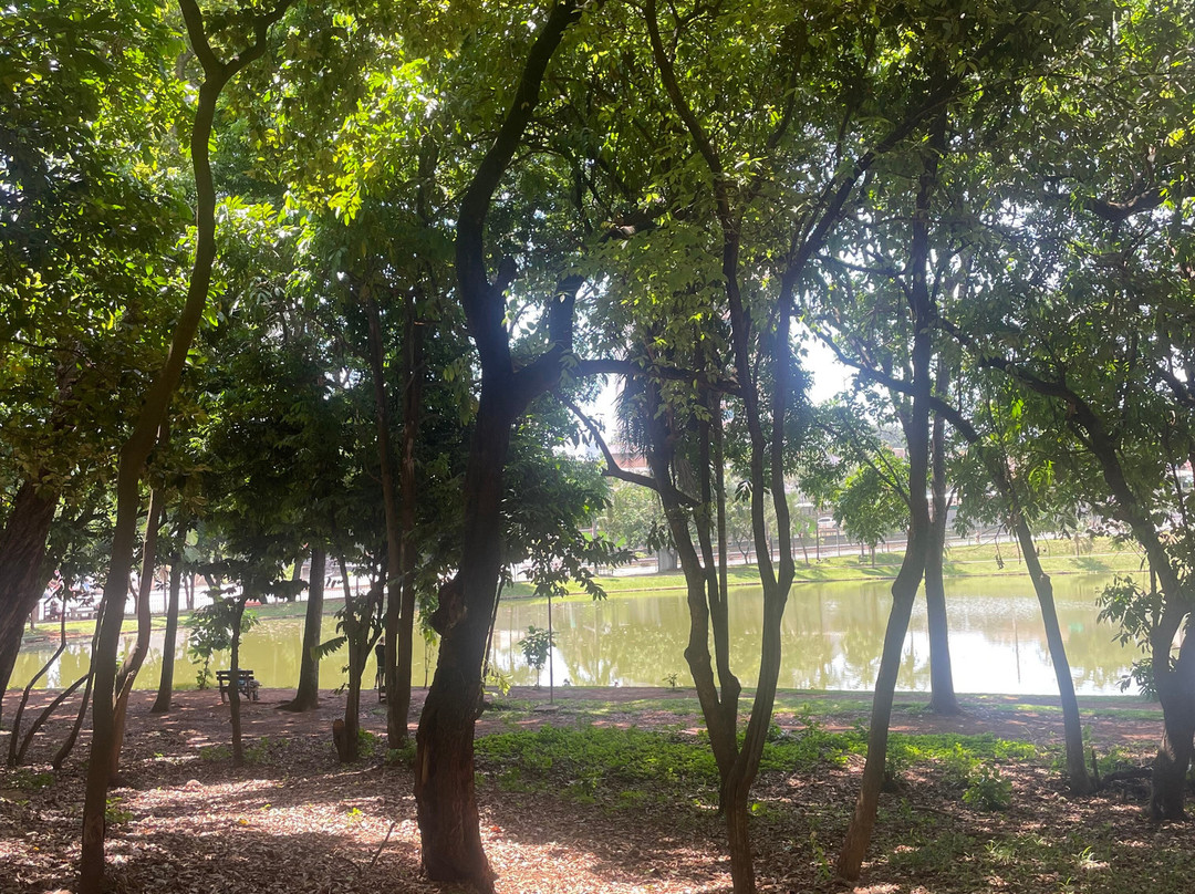 Areiao Park-戈亚尼亚必去景点