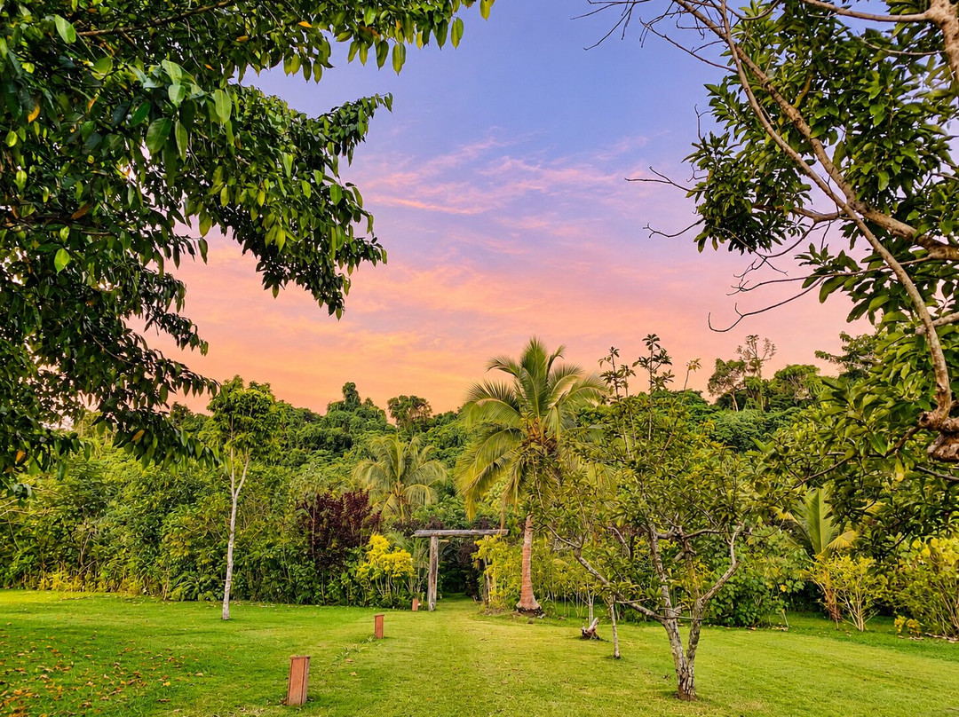 Freshwater Plantation Tour-Aore Island必去景点