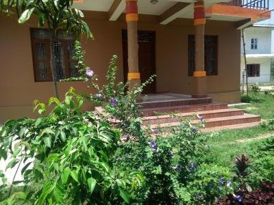 Tara Guesthouse - Sauraha,Chitwan