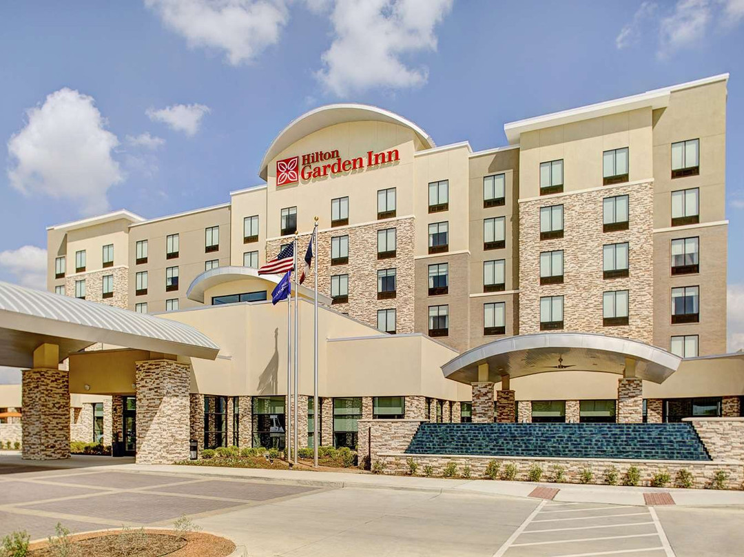 Hilton Garden Inn Dallas/Arlington South主图