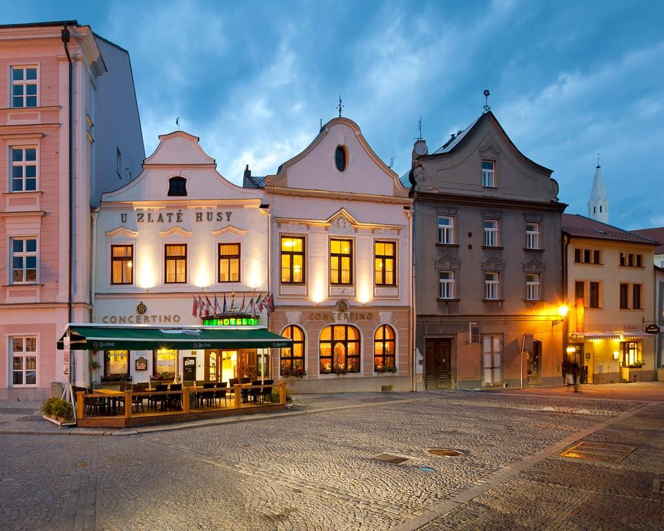 South Bohemian Region酒店住宿-Hotel Concertino Zlata Husa