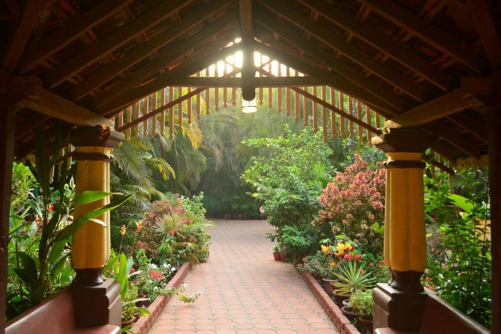 奔闹林酒店住宿-Palm Grove Cottages - Leisure Resort