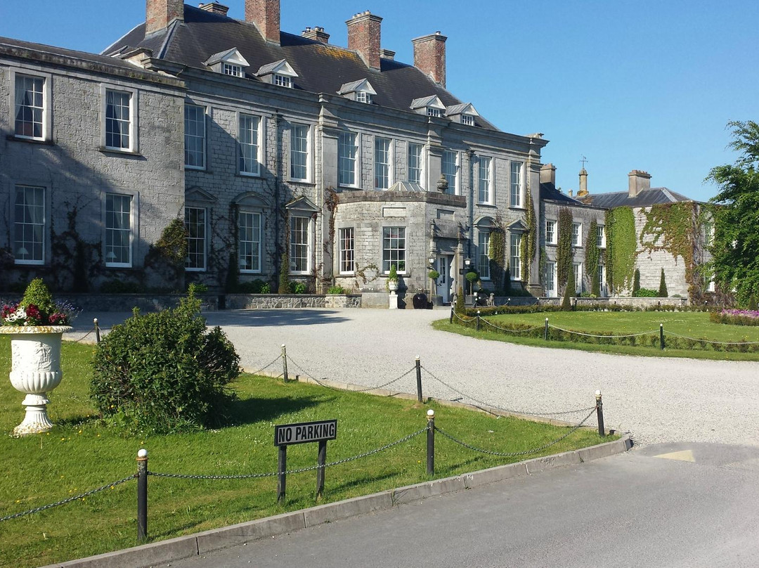 County Laois酒店住宿-Castle Durrow