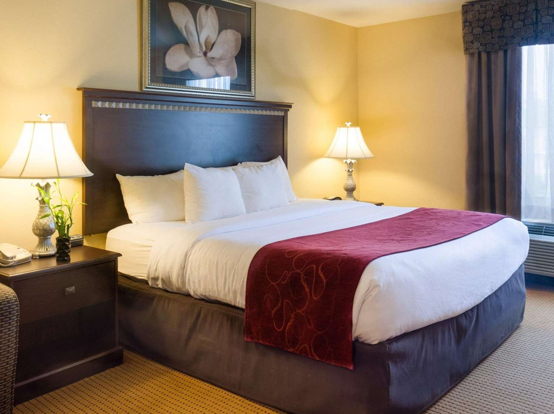 Comfort Suites Fredericksburg North主图