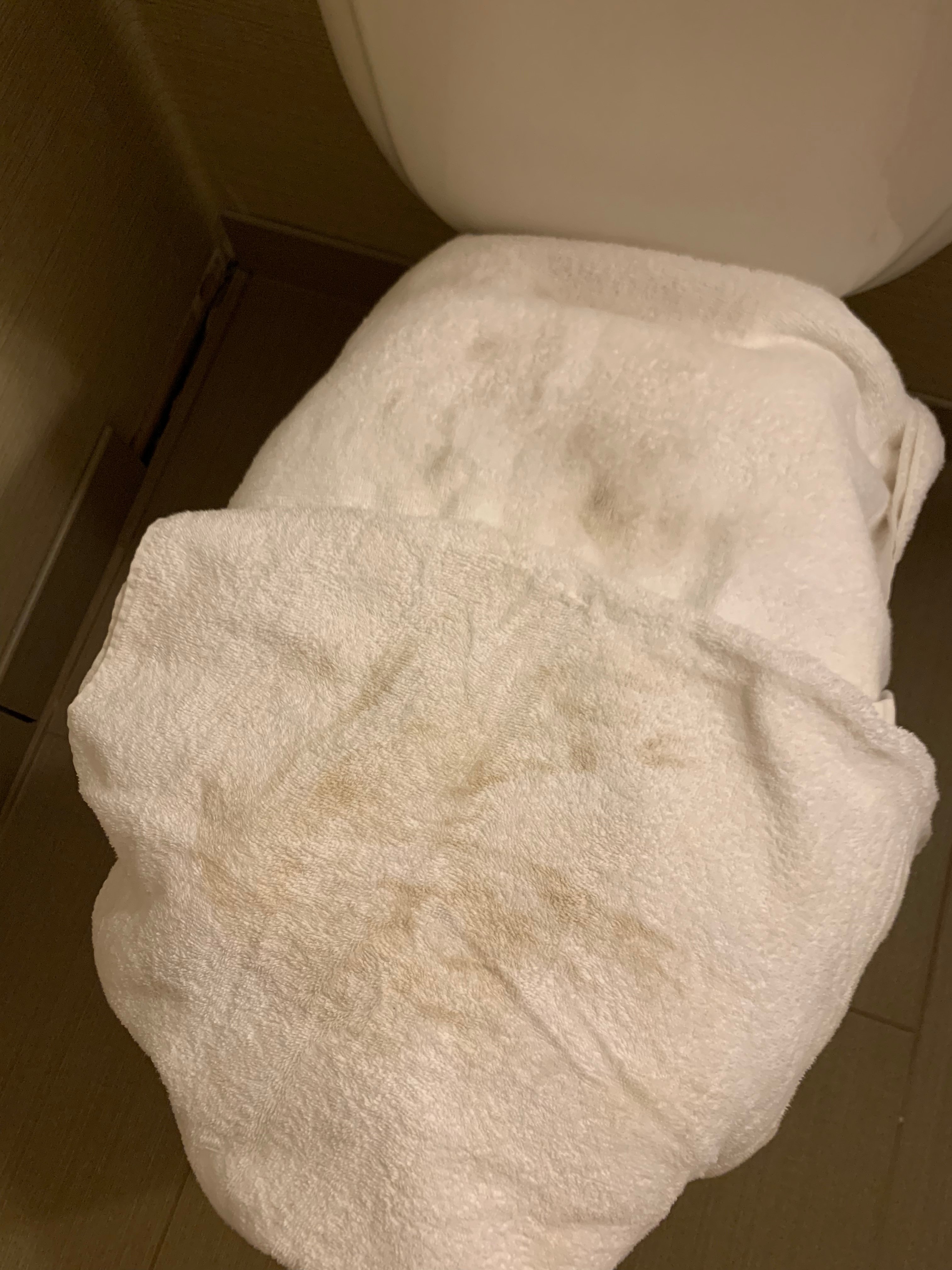 Comfort Suites South Haven Near I-96-官方