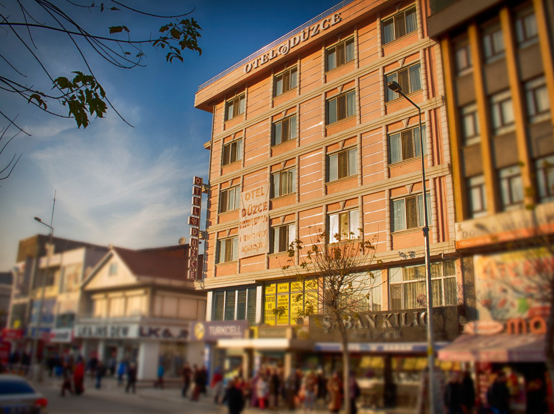 迪兹杰酒店住宿-Hotel Duzce