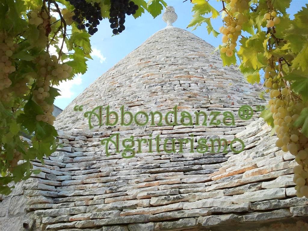 Abbondanza Agriturismo-官方