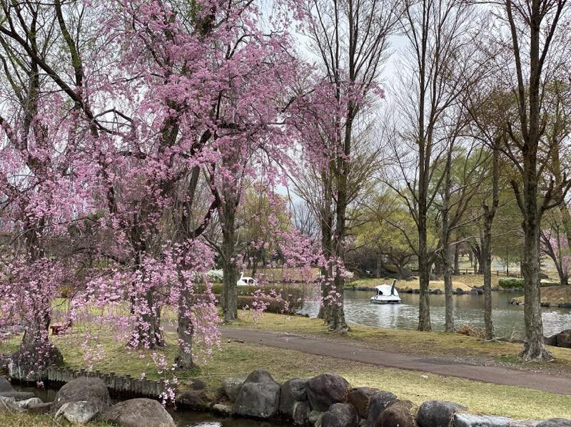 Nakagawa Riverside Park-那须盐原市必去景点