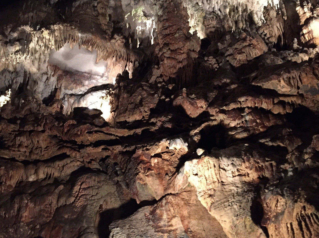 Penn's Cave景点图片