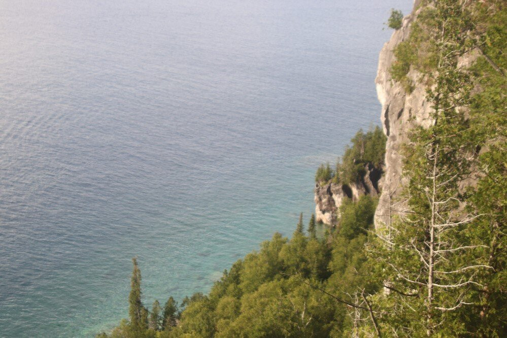 Lion's Head Marina景点图片