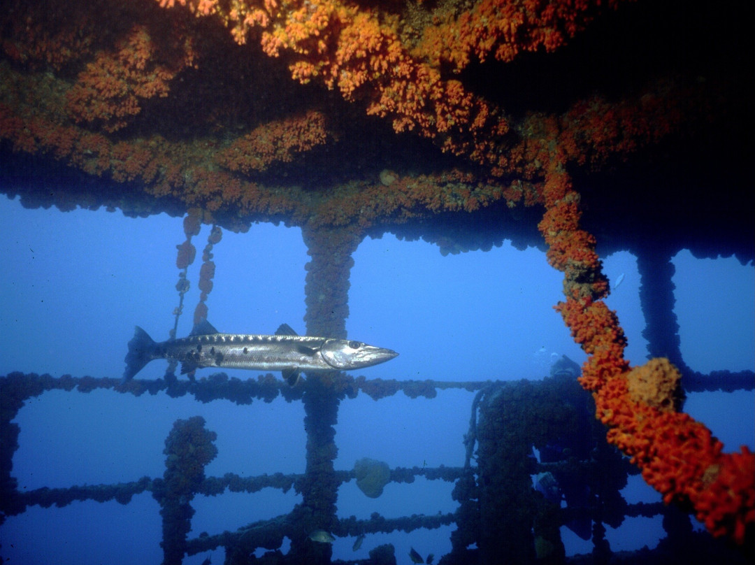 WIT Shoal-圣 托马斯必去景点