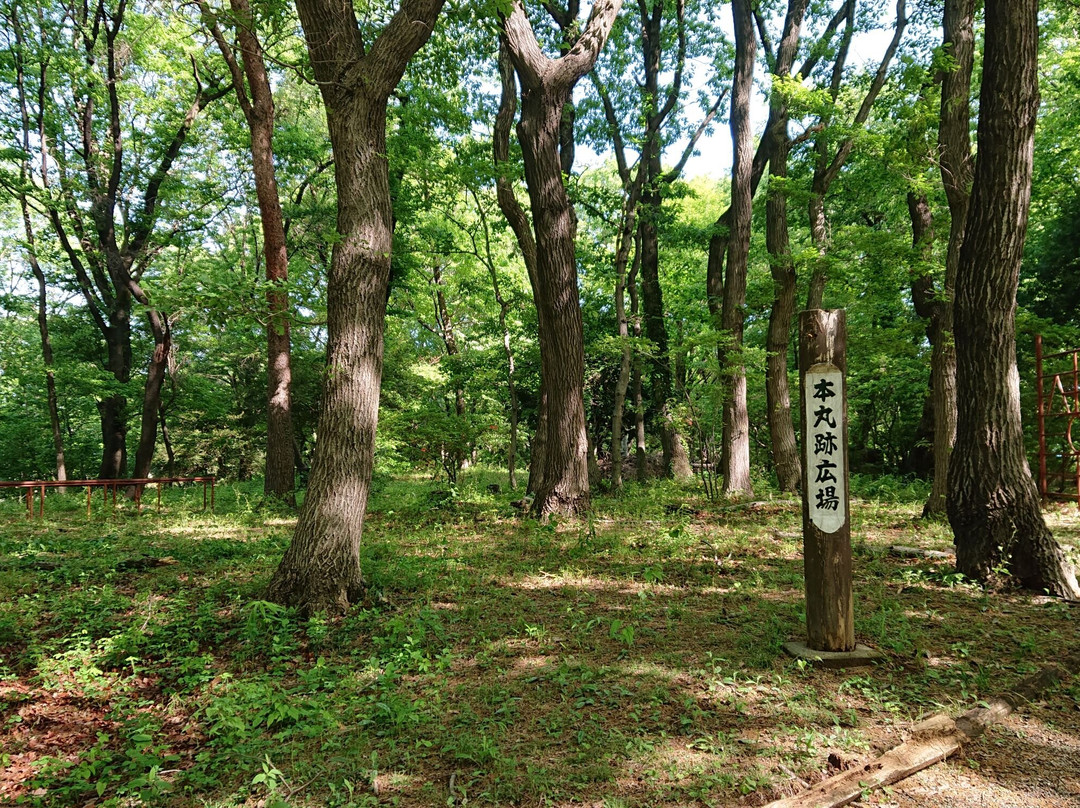 Yamagami Castle Park景点图片