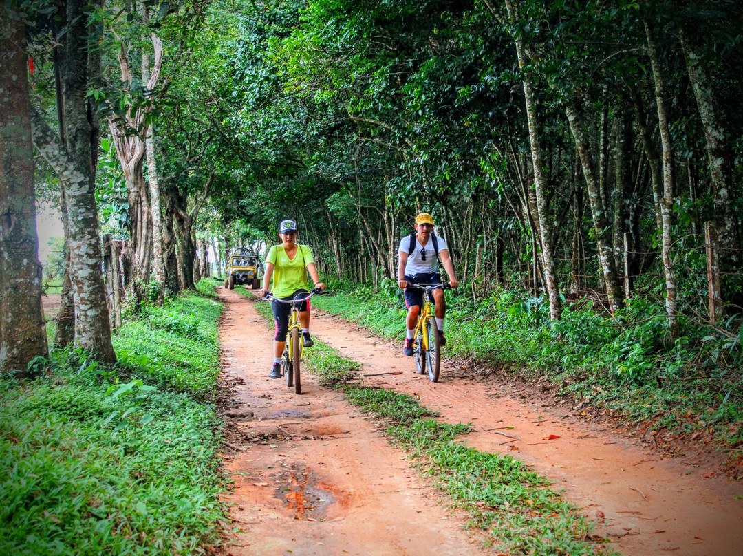 Bici Tour景点图片