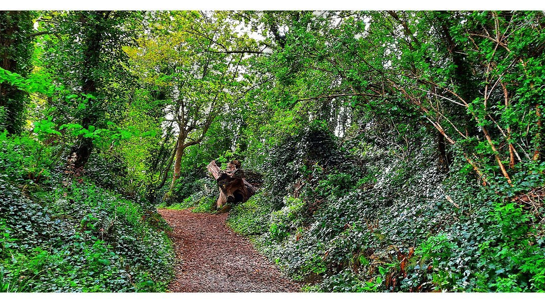 Townley Hall Wood-Tullyallen必去景点