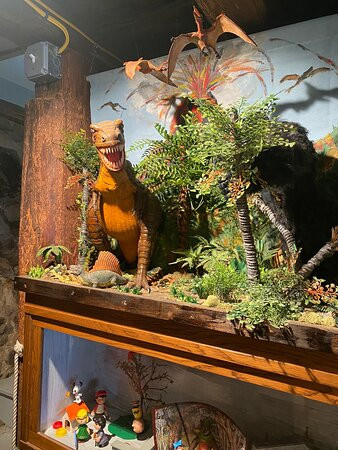 Museum Of Dumb Guy Stuff-朴次茅斯必去景点