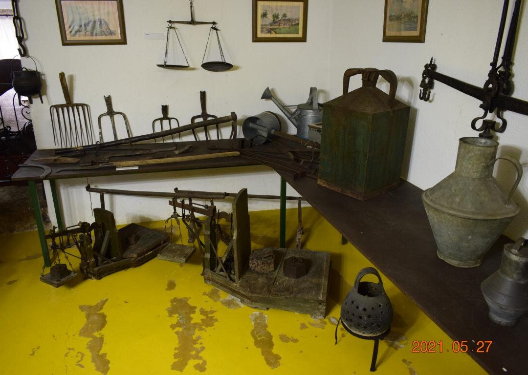 Museu Municipal Doutor António Simões Saraiva