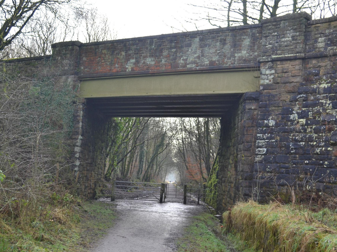 Healey Dell Nature Reserve景点图片