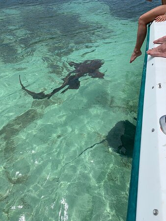 Snapper Jones Fishing-Green Turtle Cay必去景点