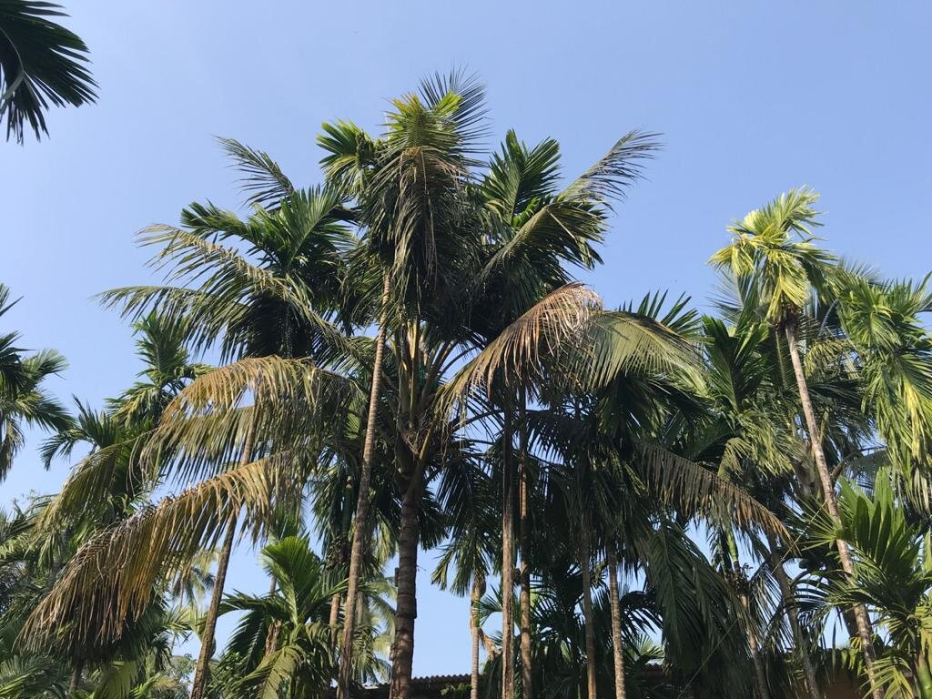 Shreebag Homestay Diveagar主图